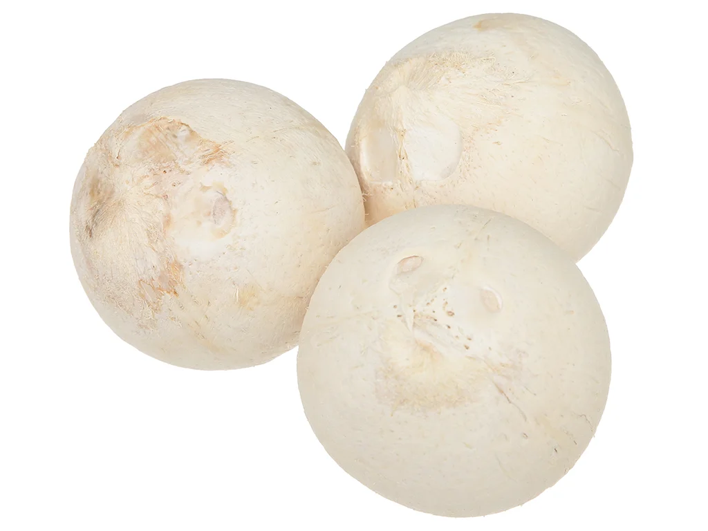 Nước dừa xiêm thanh lọc cơ thể tại Ngưu Bảo Bảo